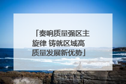 奏响质量强区主旋律 铸就区域高质量发展新优势