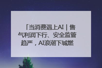 当消费遇上AI｜售气利润下行、安全监管趋严，AI浪潮下城燃企业如何破局