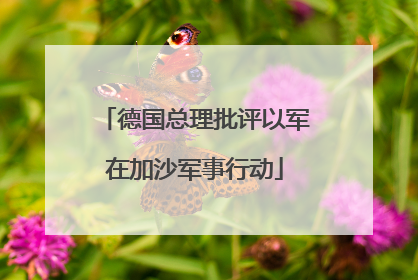 德国总理批评以军在加沙军事行动