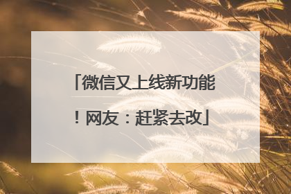 微信又上线新功能！网友：赶紧去改