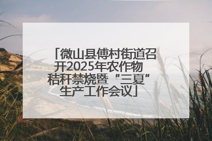 微山县傅村街道召开2025年农作物秸秆禁烧暨“三夏”生产工作会议