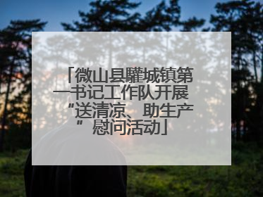 微山县驩城镇第一书记工作队开展“送清凉、助生产”慰问活动