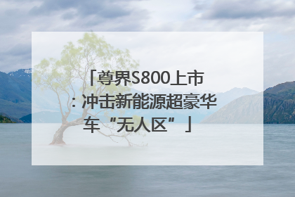 尊界S800上市：冲击新能源超豪华车“无人区”