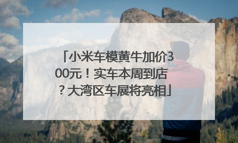 小米车模黄牛加价300元！实车本周到店？大湾区车展将亮相