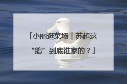 小丽逛菜场｜苏超这“鹅”到底谁家的？