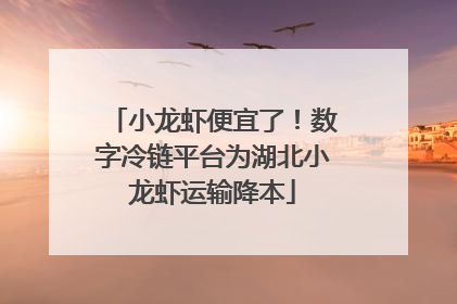 小龙虾便宜了！数字冷链平台为湖北小龙虾运输降本