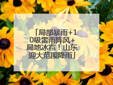 局部暴雨+10级雷雨阵风+局地冰雹！山东迎大范围降雨