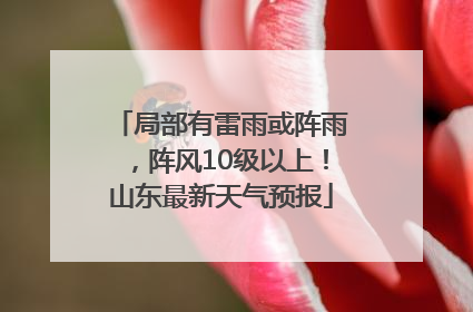 局部有雷雨或阵雨，阵风10级以上！山东最新天气预报