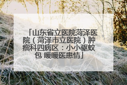 山东省立医院菏泽医院（菏泽市立医院）肿瘤科四病区：小小驱蚊包 暖暖医患情