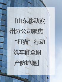 山东移动滨州分公司聚焦“打猫”行动 筑牢群众财产防护堤