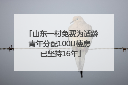 山东一村免费为适龄青年分配100㎡楼房 已坚持16年