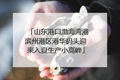 山东港口渤海湾港滨州港区港华码头迎来入夏生产小高峰