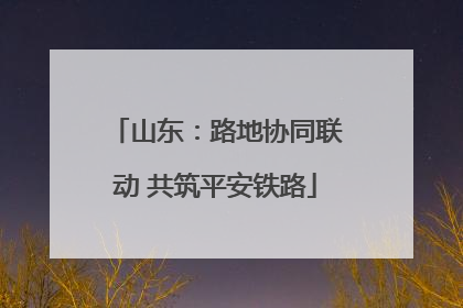 山东：路地协同联动 共筑平安铁路