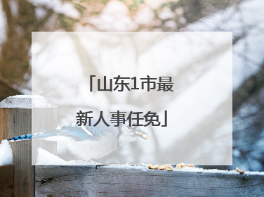 山东1市最新人事任免