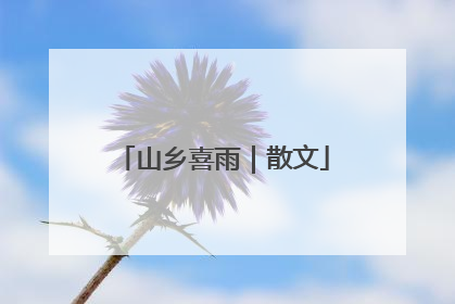 山乡喜雨｜散文