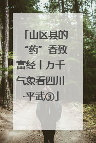山区县的“药”香致富经丨万千气象看四川·平武③