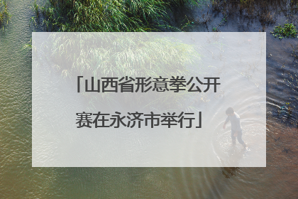 山西省形意拳公开赛在永济市举行