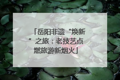 岳阳非遗“焕新”之旅：老技艺点燃旅游新烟火