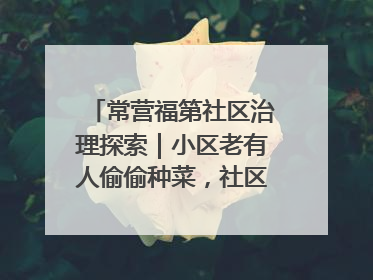 常营福第社区治理探索｜小区老有人偷偷种菜，社区一招巧妙化解