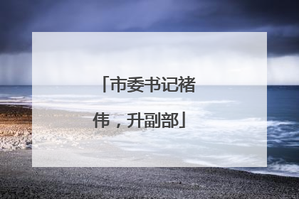 市委书记褚伟，升副部