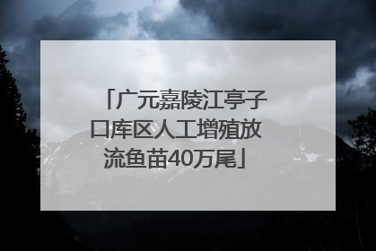 广元嘉陵江亭子口库区人工增殖放流鱼苗40万尾