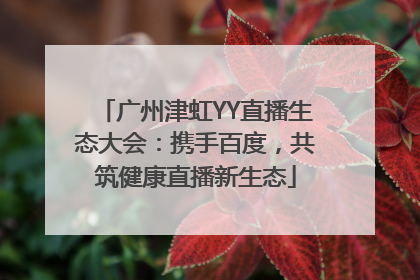 广州津虹YY直播生态大会：携手百度，共筑健康直播新生态