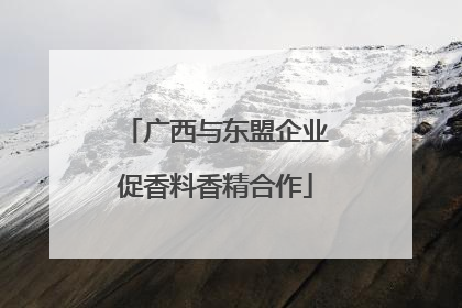 广西与东盟企业促香料香精合作