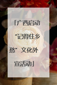 广西启动“记得住乡愁”文化外宣活动