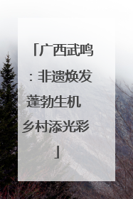 广西武鸣：非遗焕发蓬勃生机 乡村添光彩