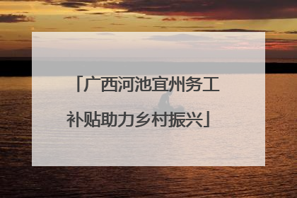 广西河池宜州务工补贴助力乡村振兴