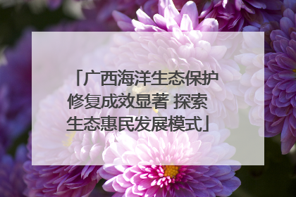 广西海洋生态保护修复成效显著 探索生态惠民发展模式