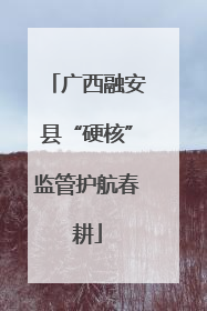 广西融安县“硬核”监管护航春耕