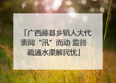 广西藤县乡镇人大代表闻“汛”而动 监督疏通水渠解民忧
