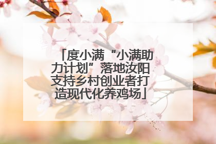度小满“小满助力计划”落地汝阳支持乡村创业者打造现代化养鸡场