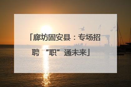 廊坊固安县：专场招聘 “职”通未来