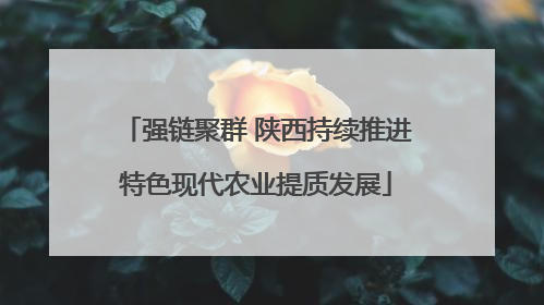 强链聚群 陕西持续推进特色现代农业提质发展