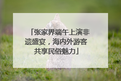 张家界端午上演非遗盛宴，海内外游客共享民俗魅力