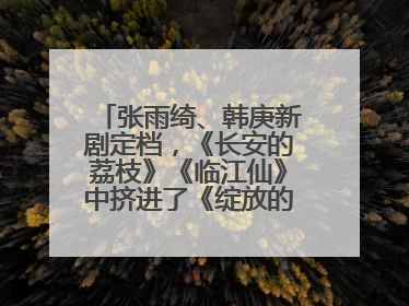 张雨绮、韩庚新剧定档，《长安的荔枝》《临江仙》中挤进了《绽放的许开心》