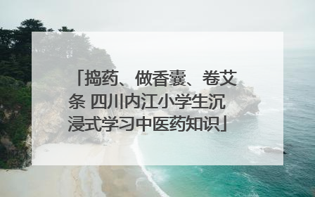 捣药、做香囊、卷艾条 四川内江小学生沉浸式学习中医药知识