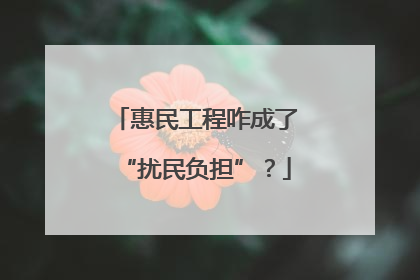惠民工程咋成了“扰民负担”？