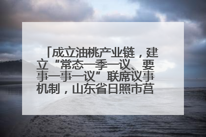成立油桃产业链，建立“常态一季一议、要事一事一议”联席议事机制，山东省日照市莒县果庄镇——13个党小组“全周期”育果