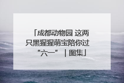成都动物园 这两只黑猩猩萌宝陪你过“六一”｜图集