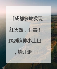 成都多地发现红火蚁，有毒！遇到这种小土包，绕开走！