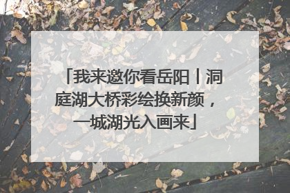 我来邀你看岳阳丨洞庭湖大桥彩绘换新颜，一城湖光入画来