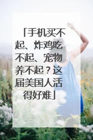 手机买不起、炸鸡吃不起、宠物养不起？这届美国人活得好难
