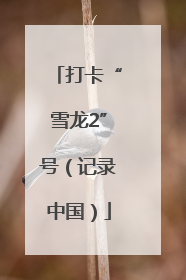打卡“雪龙2”号（记录中国）