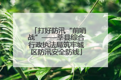 打好防汛“前哨战”——莘县综合行政执法局筑牢城区防汛安全防线