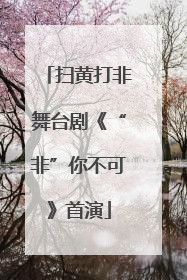 扫黄打非舞台剧《“非”你不可》首演