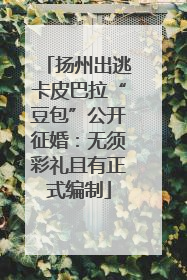 扬州出逃卡皮巴拉“豆包”公开征婚：无须彩礼且有正式编制