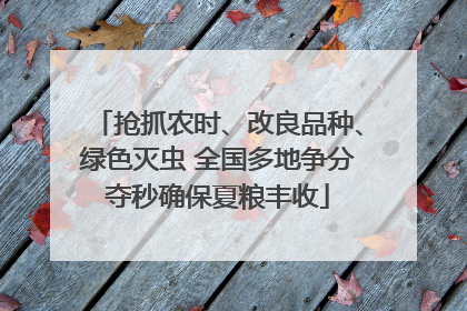 抢抓农时、改良品种、绿色灭虫 全国多地争分夺秒确保夏粮丰收